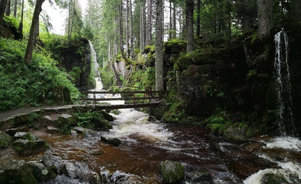 C3 Albmatte-Fewo Sauna, Hallenbad Aussenbecken Massagen Nebenan St. Blasien Exterior foto