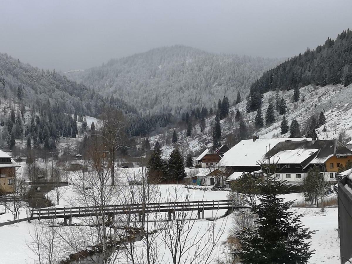 C3 Albmatte-Fewo Sauna, Hallenbad Aussenbecken Massagen Nebenan St. Blasien Exterior foto