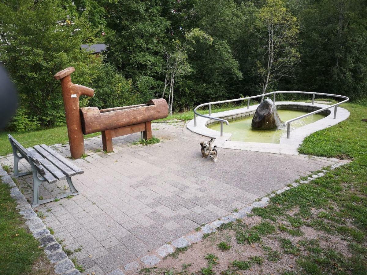 C3 Albmatte-Fewo Sauna, Hallenbad Aussenbecken Massagen Nebenan St. Blasien Exterior foto