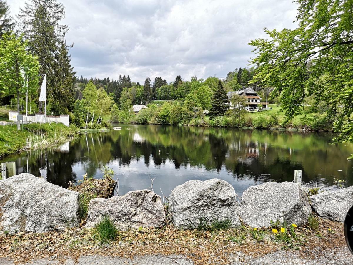 C3 Albmatte-Fewo Sauna, Hallenbad Aussenbecken Massagen Nebenan St. Blasien Exterior foto